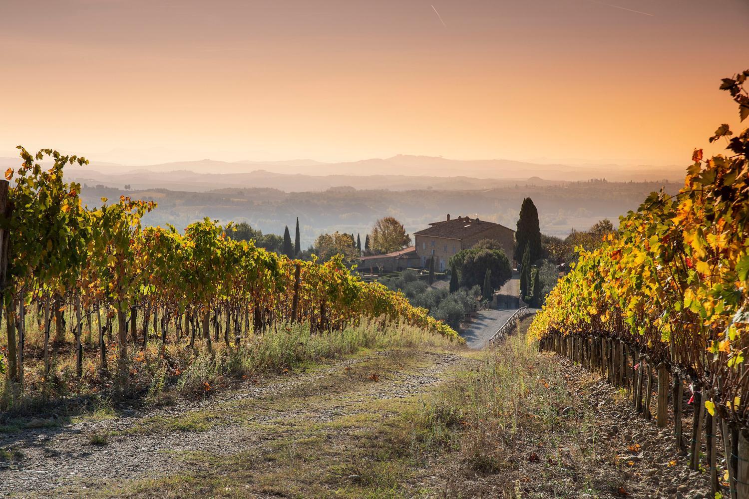 Hotel for Adults-only - Borgo Argiano