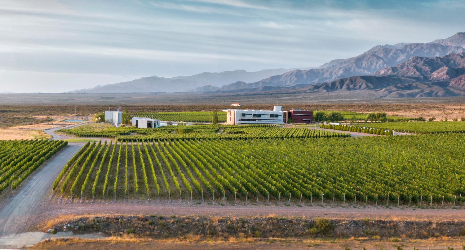 Hotel for Adults-only - Casa de Uco Vineyards and Wine Resort